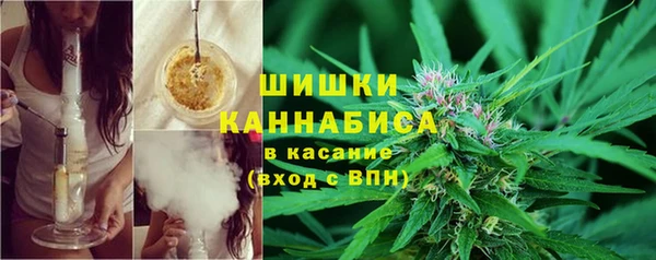 молекула духа Мегион