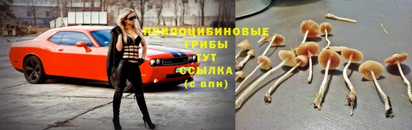 молекула духа Мегион